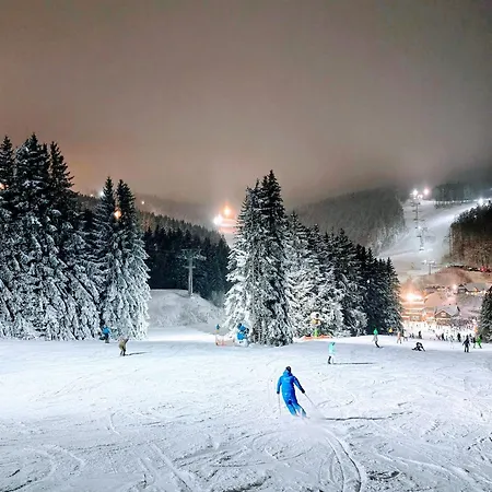 Appartement Fuchsbau Mit Kamin & Terrasse & Garten